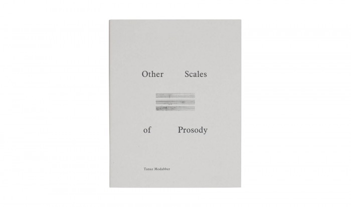 Product image of Other Scales of Prosody