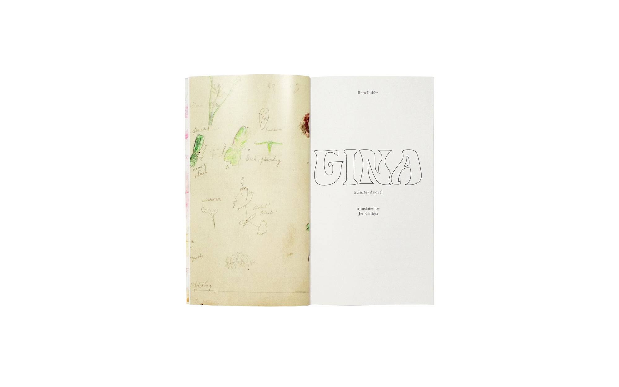Product image of Gina, a Zustand novel