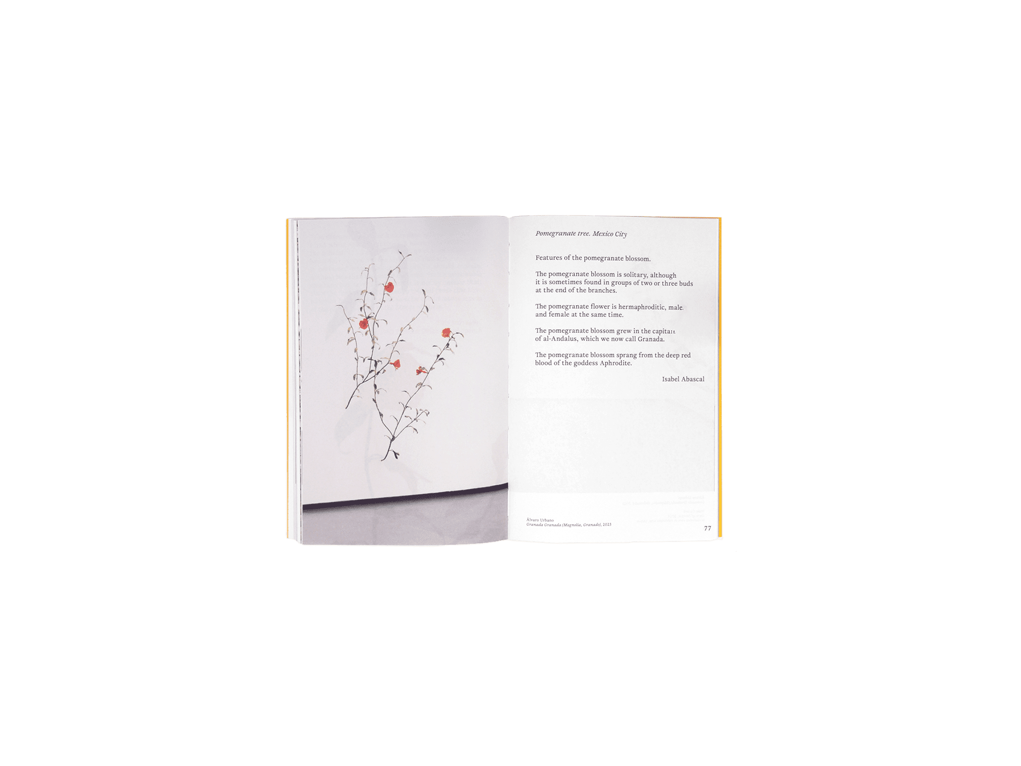 Product image of Reluctant Gardener