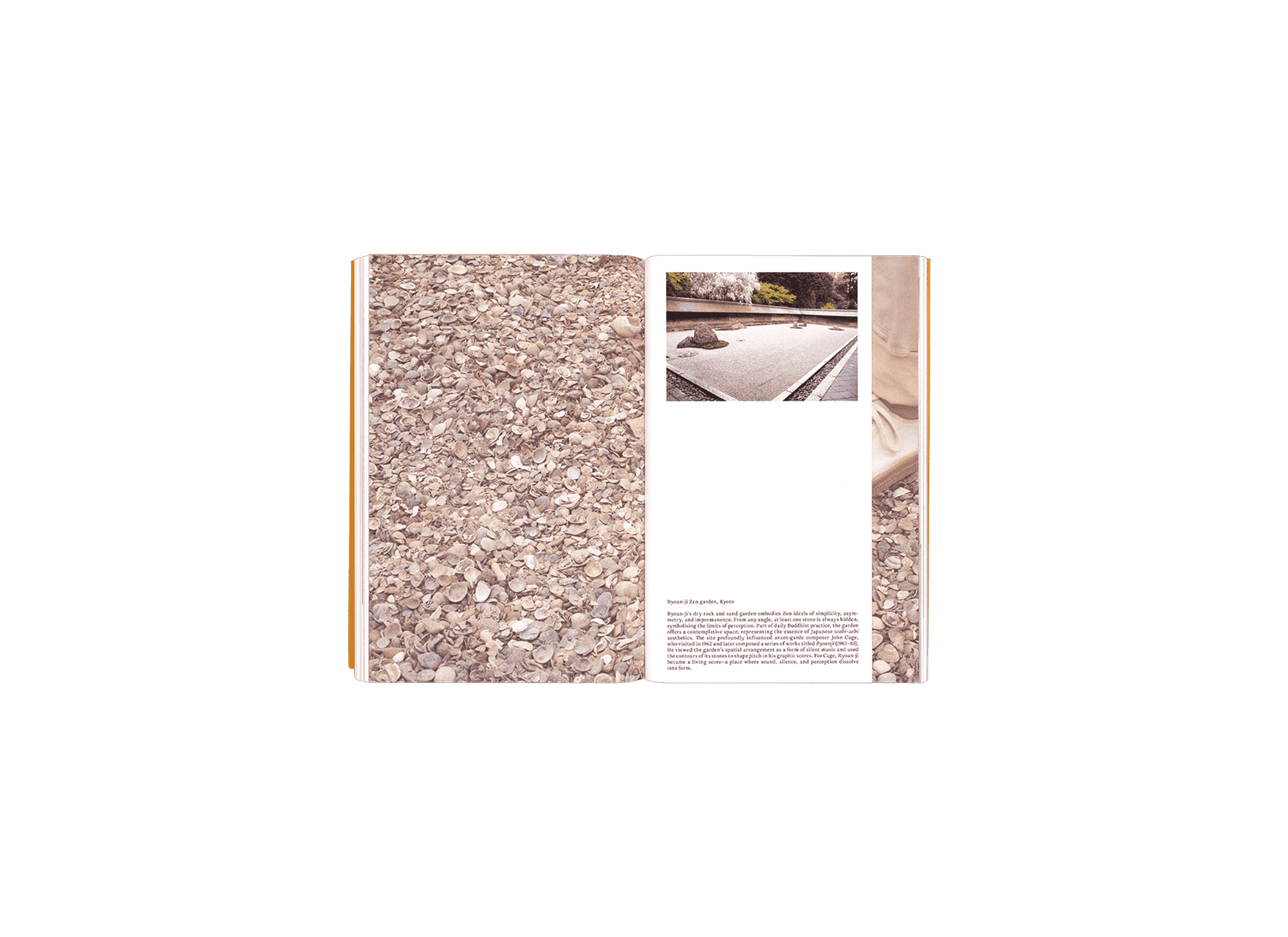 Product image of Reluctant Gardener