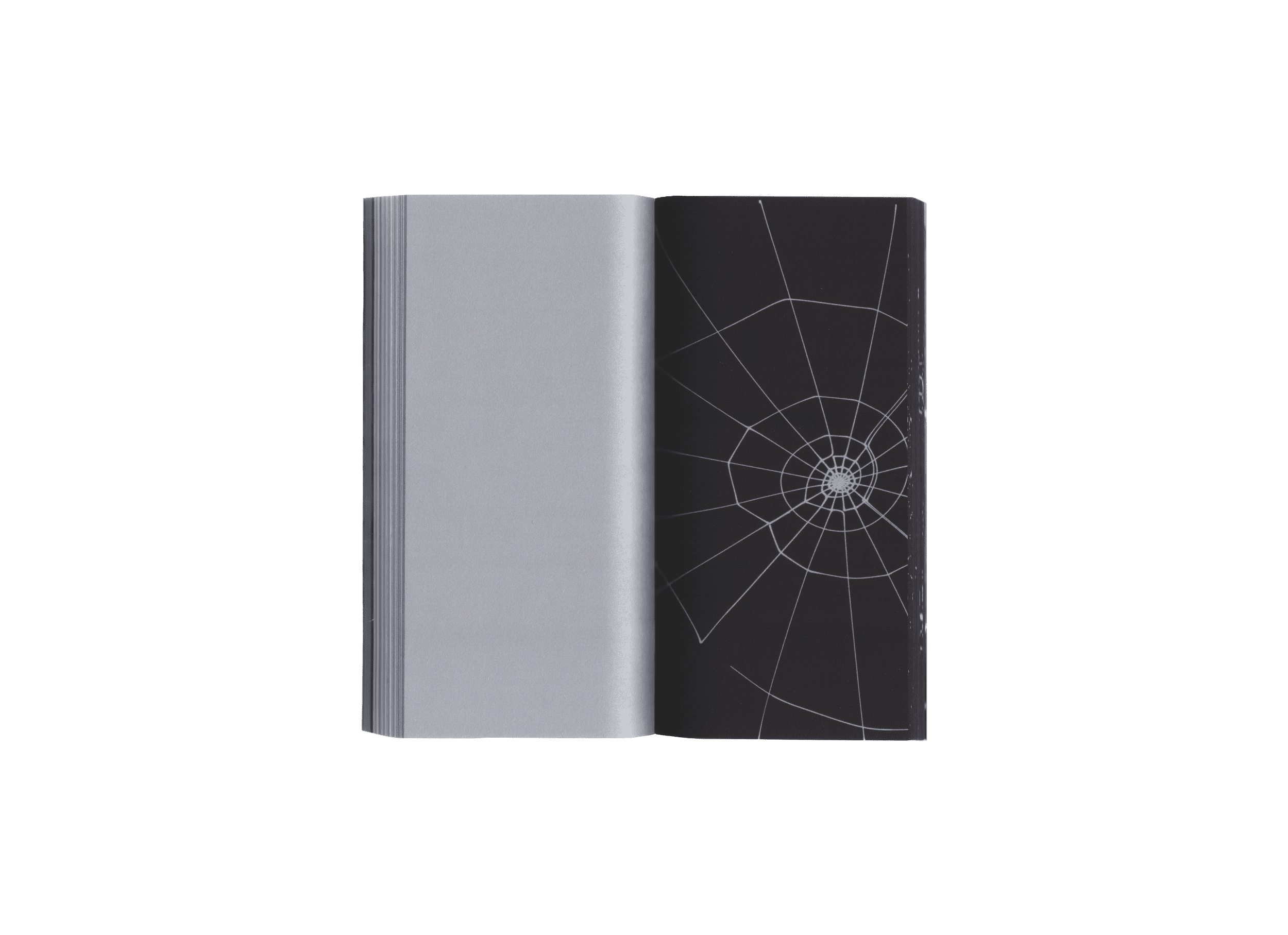 Product image of spin jump crawl climb dream bite hunt