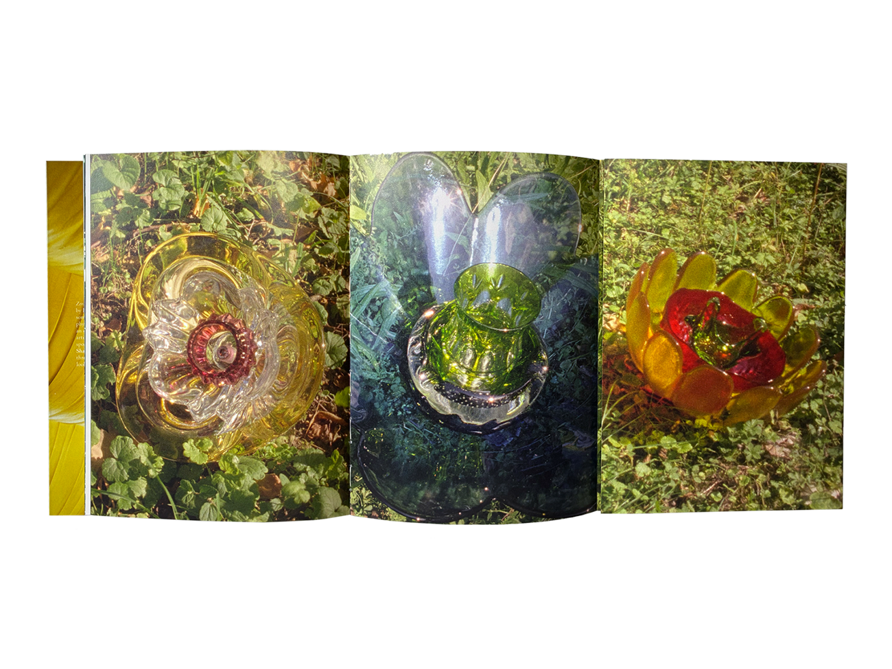 Product image of Zenit