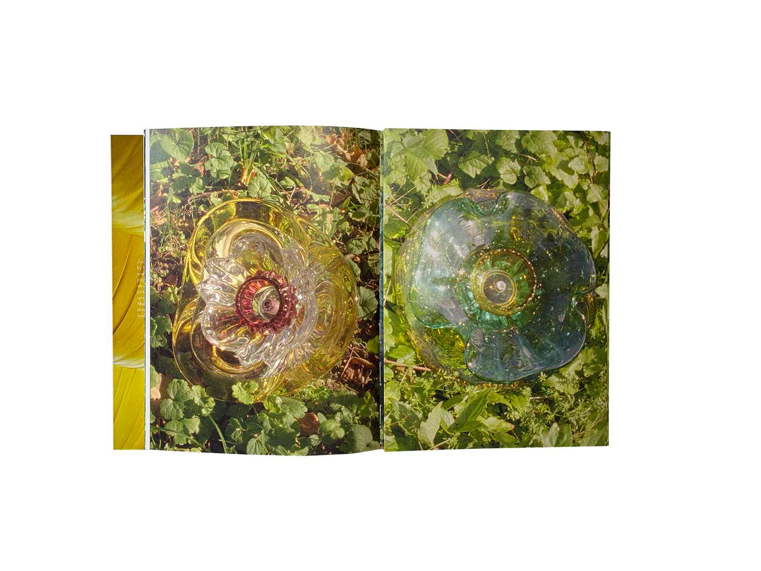 Product image of Zenit