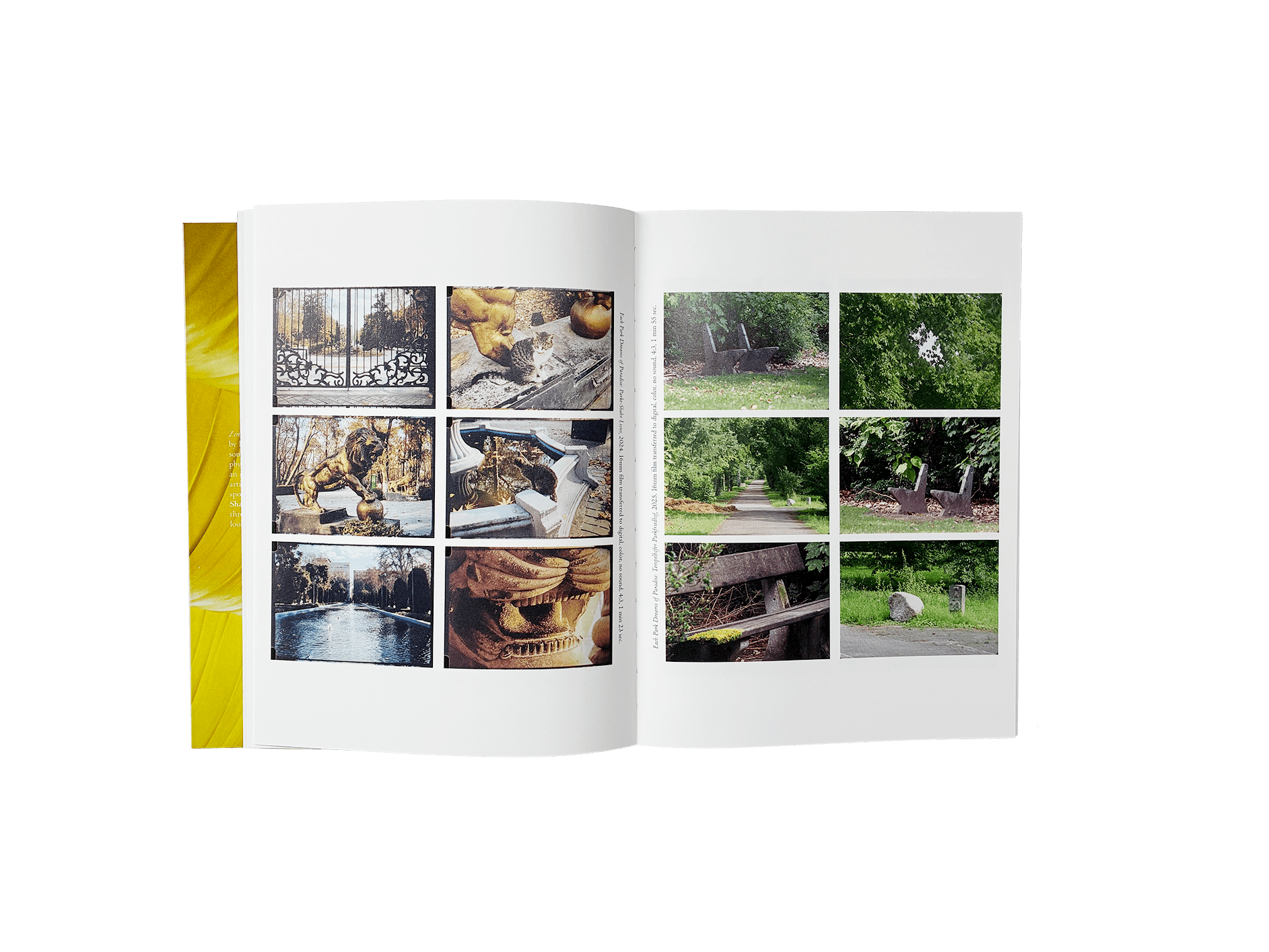 Product image of Zenit