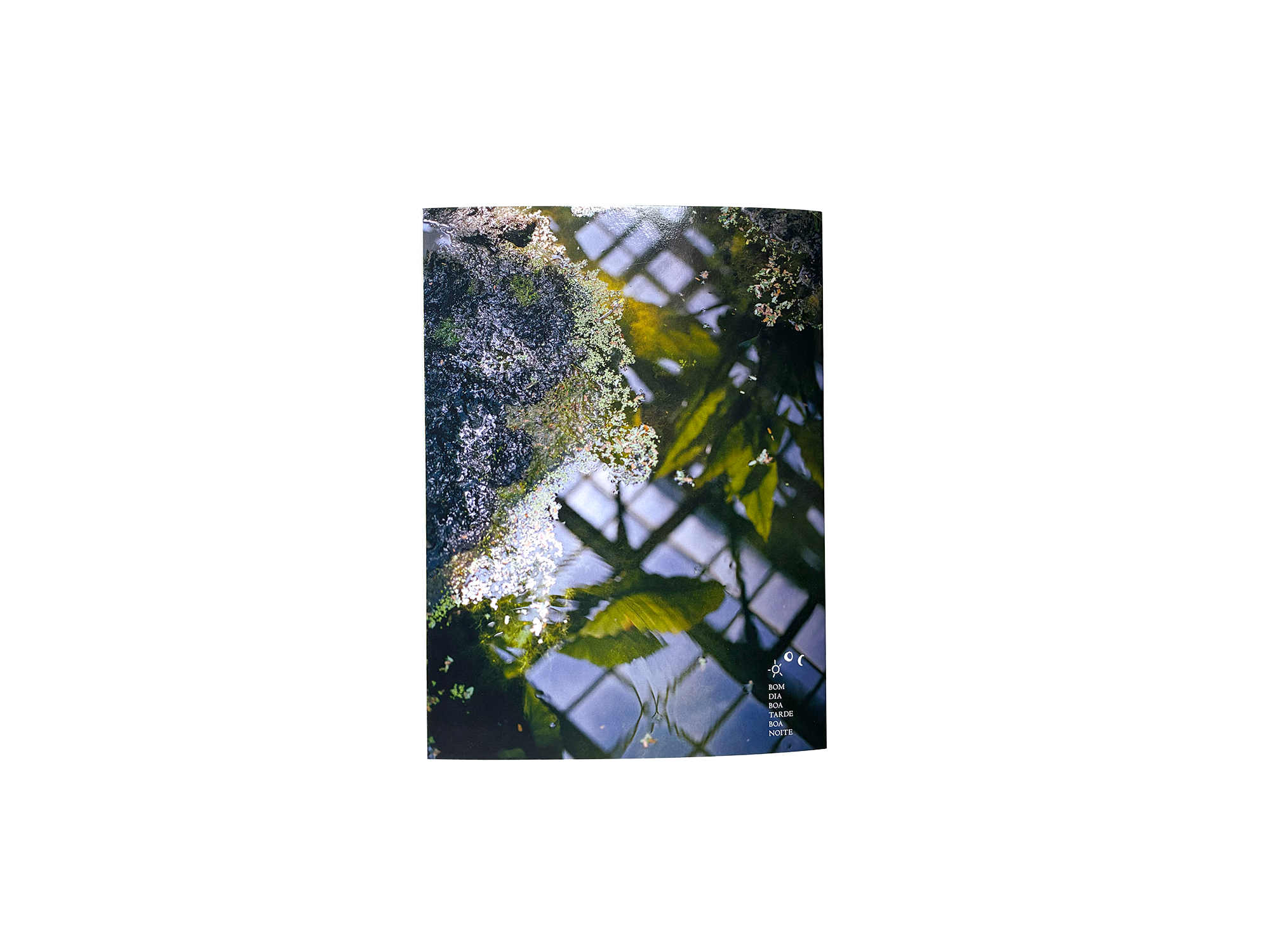 Product image of Zenit