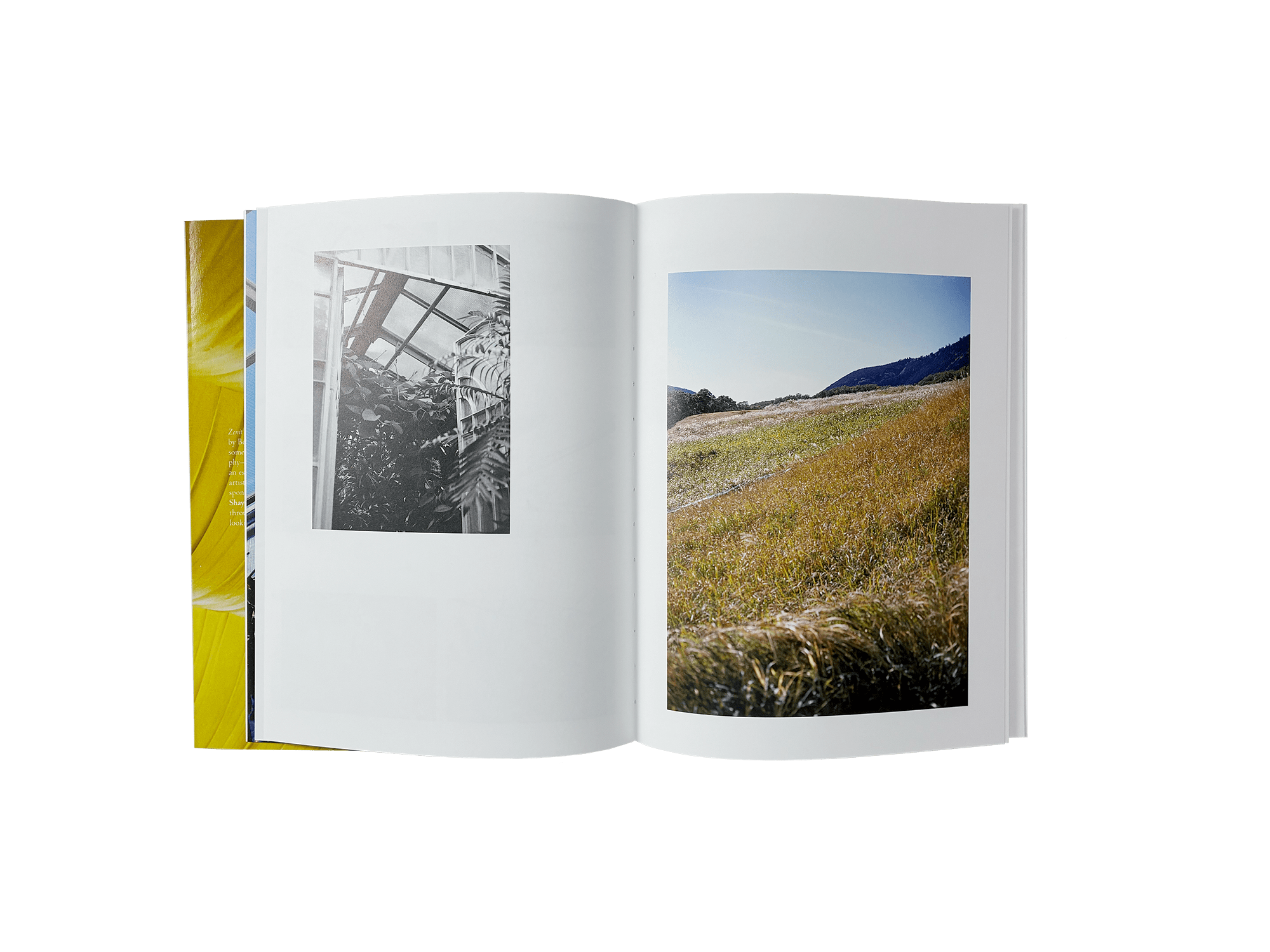 Product image of Zenit