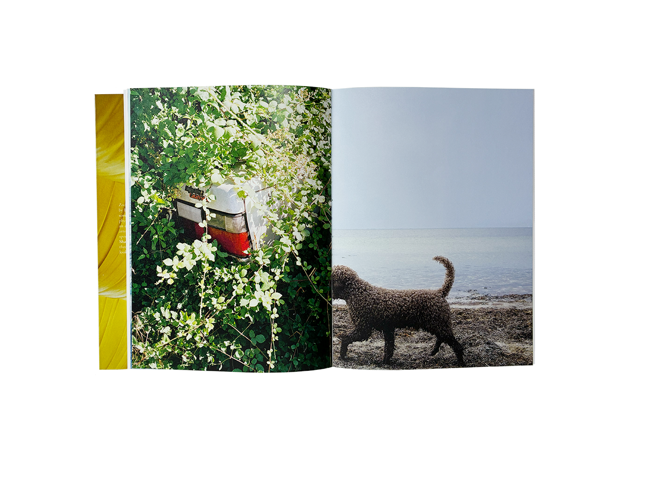 Product image of Zenit