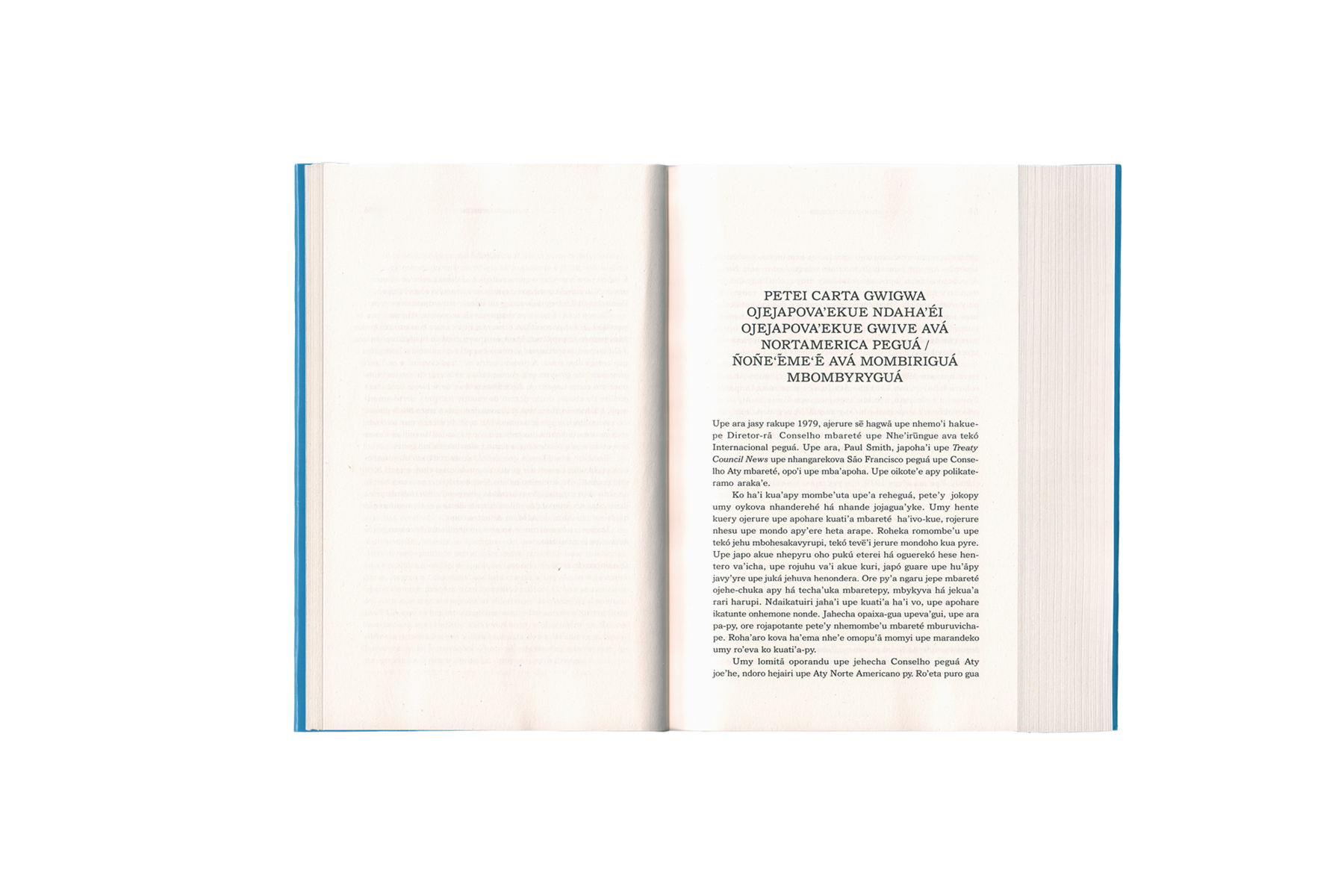 Product image of Escritos selecionados para o Brasil de Jimmie Durham – Jeha’i kuete poravó Brasil-PY guarã Jimmie Durham mba’e