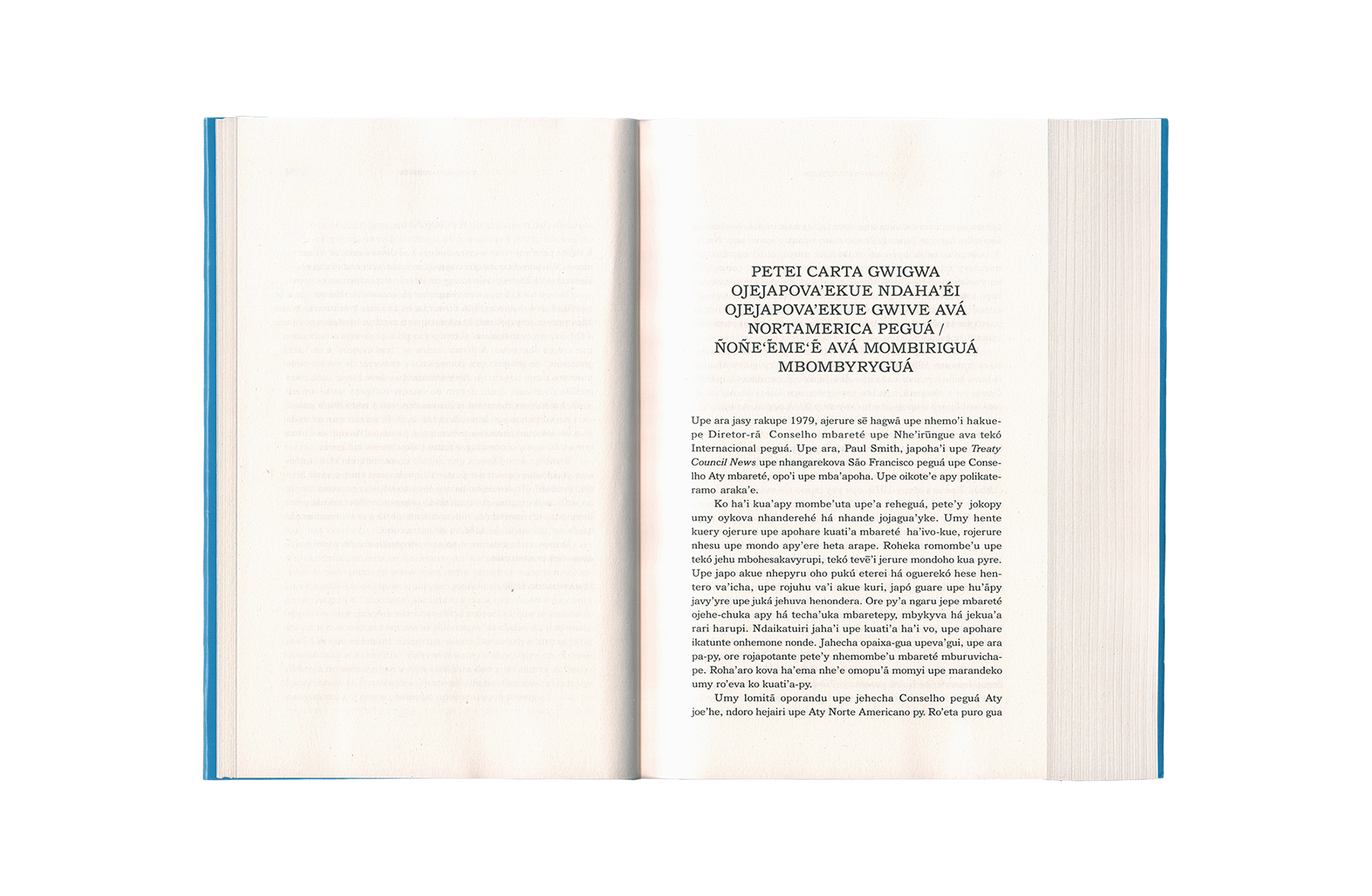 Product image of Escritos selecionados para o Brasil de Jimmie Durham – Jeha’i kuete poravó Brasil-PY guarã Jimmie Durham mba’e