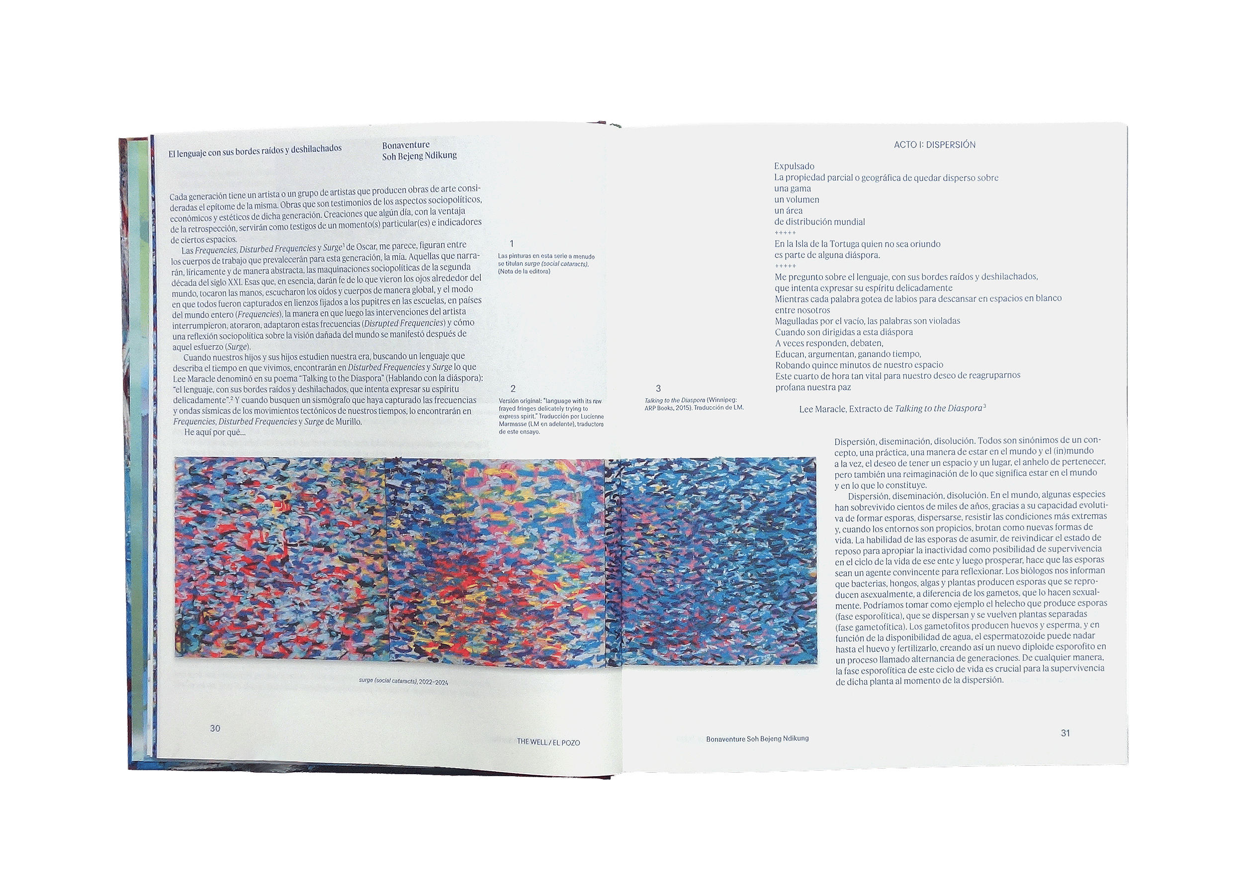 Product image of Social Cataracts / Ceguera Social